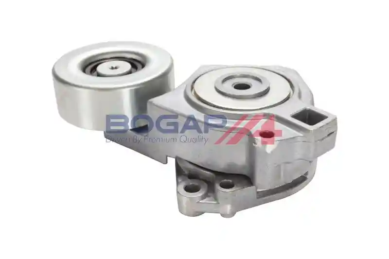 BOGAP S1317103