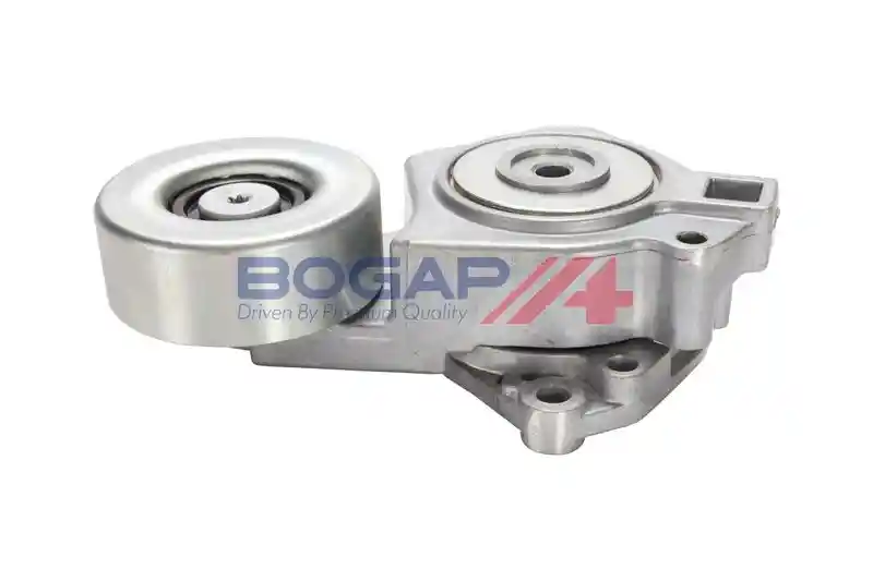 BOGAP S1317103