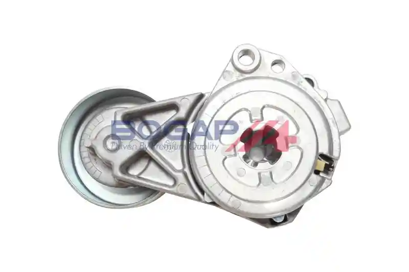 BOGAP S1317103