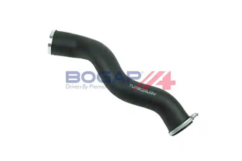 BOGAP S1711102