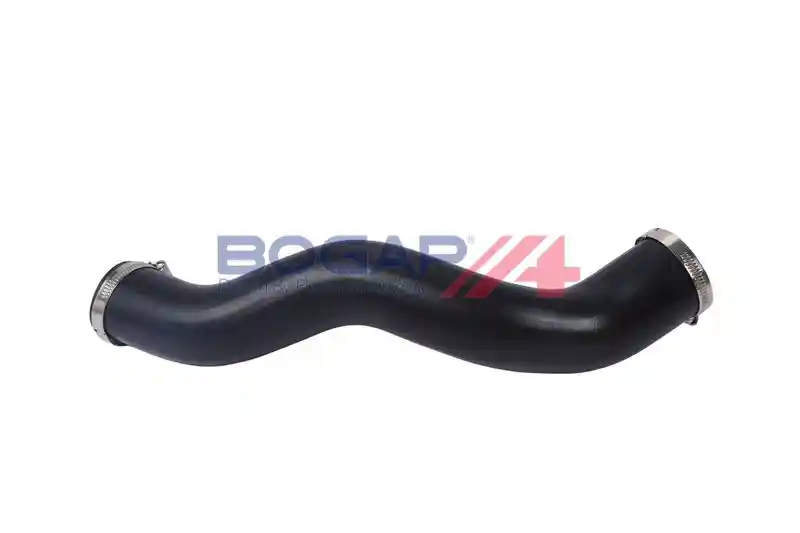 BOGAP S1711102