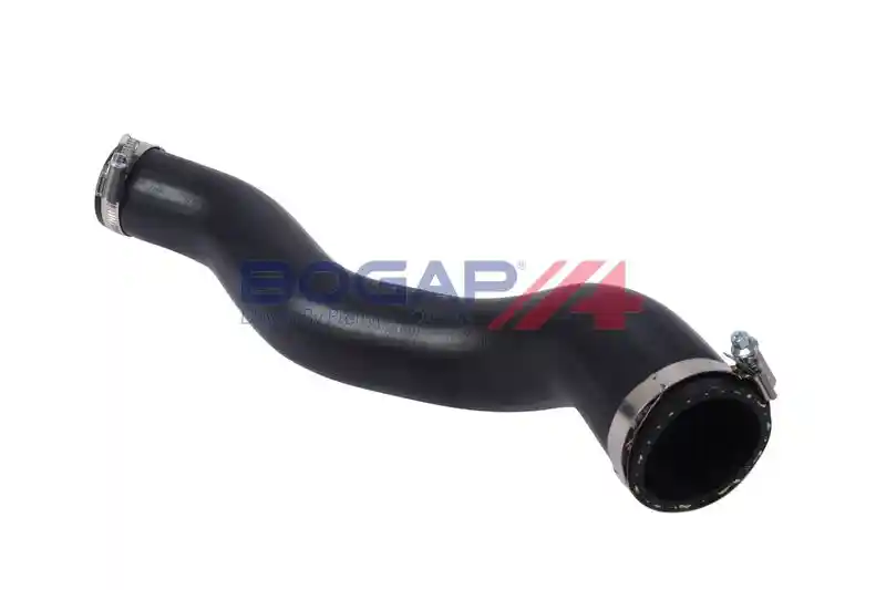 BOGAP S1711102