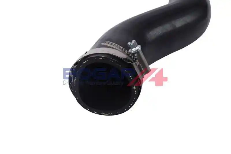 BOGAP S1711102