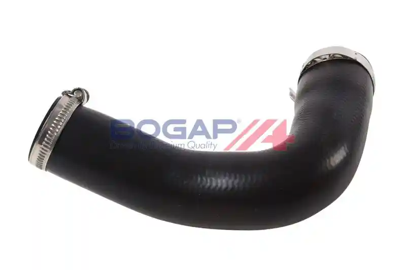BOGAP S1711105