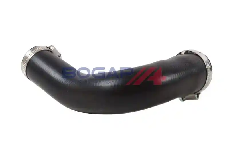 BOGAP S1711105