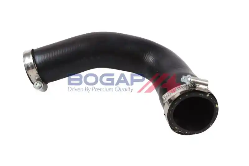 BOGAP S1711105