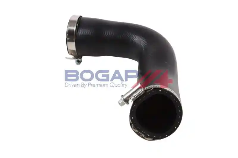 BOGAP S1711105