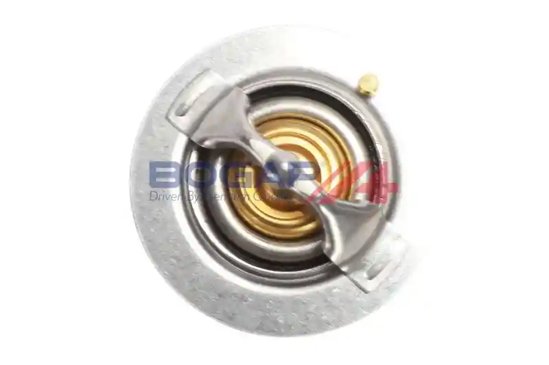 BOGAP S4234102 BOGAP S4234102