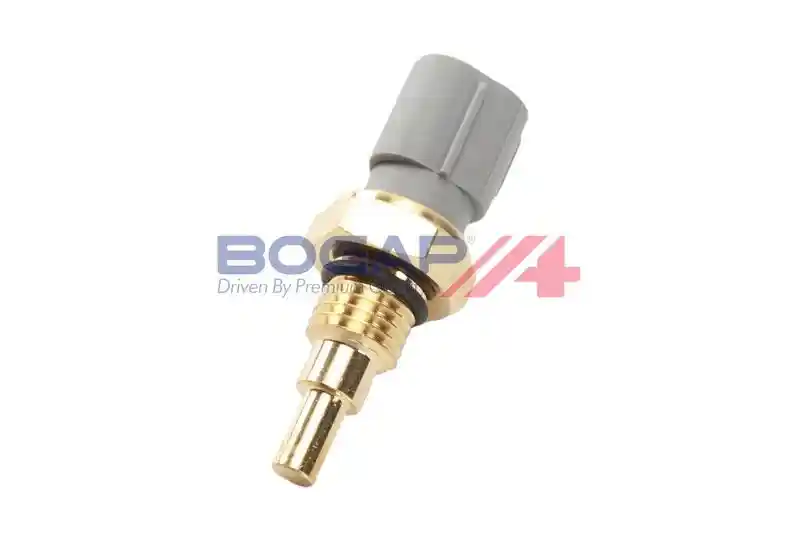 BOGAP T4126109