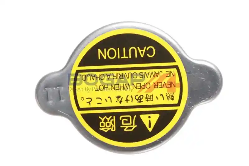 BOGAP T4211100