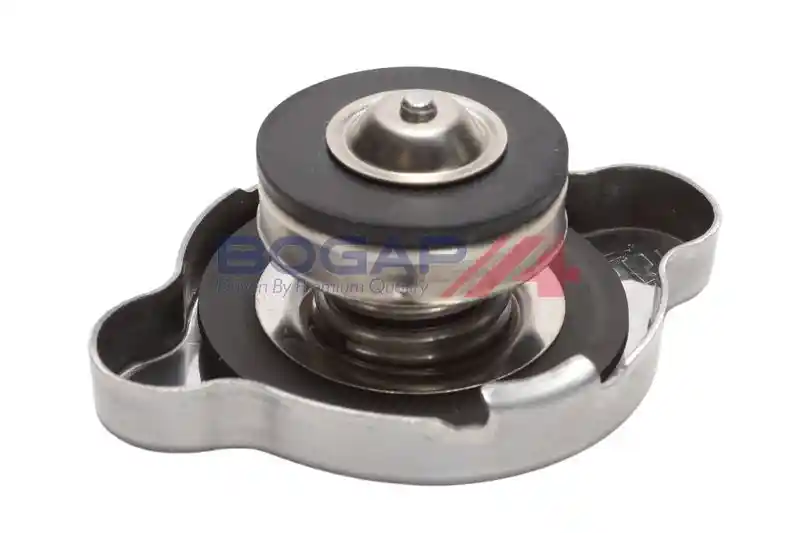 BOGAP T4211100