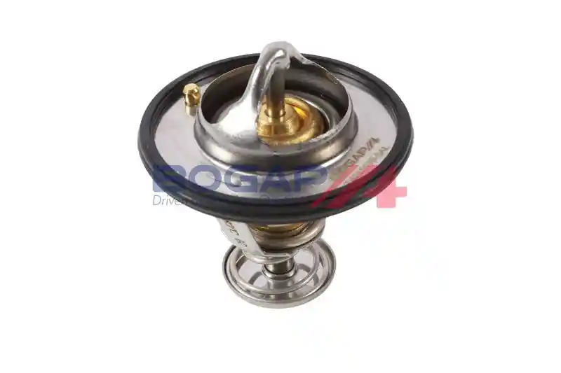 BOGAP T4245109 BOGAP T4245109