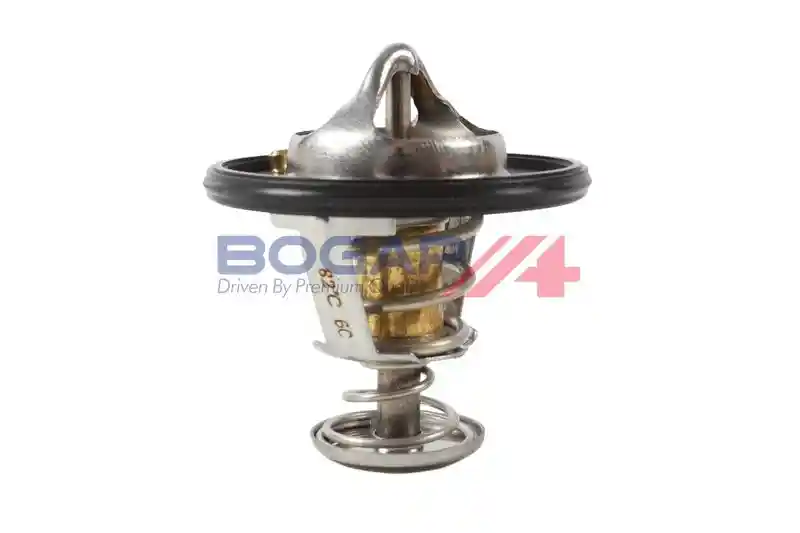 BOGAP T4245109 BOGAP T4245109