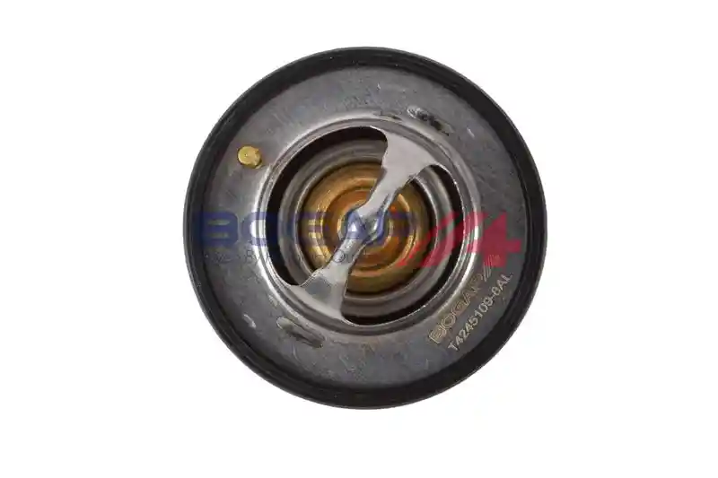 BOGAP T4245109 BOGAP T4245109
