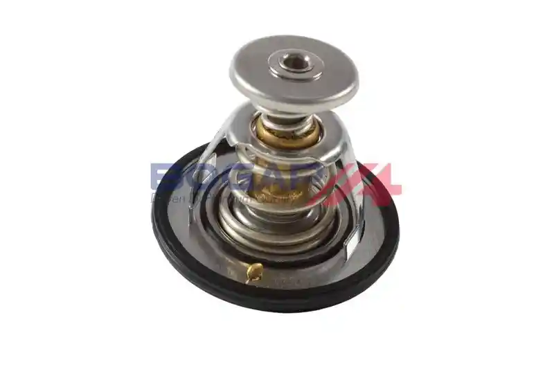 BOGAP T4245109 BOGAP T4245109