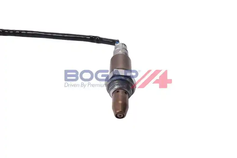 BOGAP T6119138