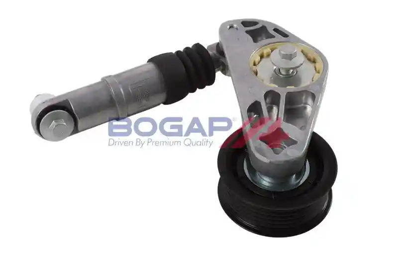 BOGAP V1317100