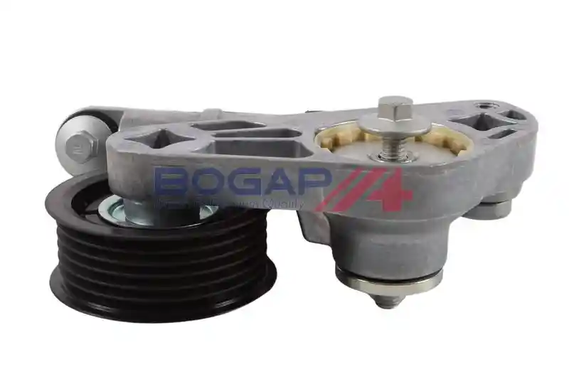 BOGAP V1317100