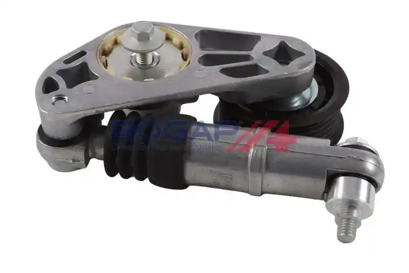 BOGAP V1317100