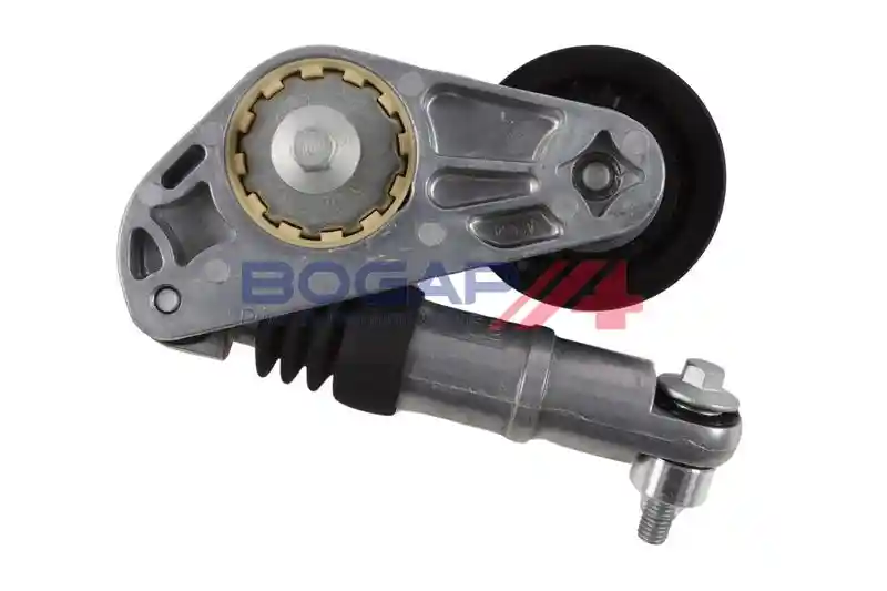 BOGAP V1317100