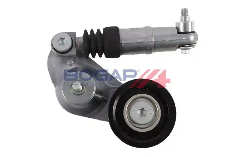 BOGAP V1317100
