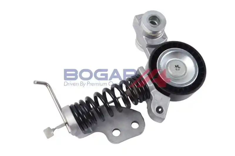 BOGAP V1317101 BOGAP V1317101