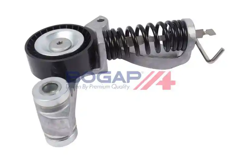 BOGAP V1317101 BOGAP V1317101