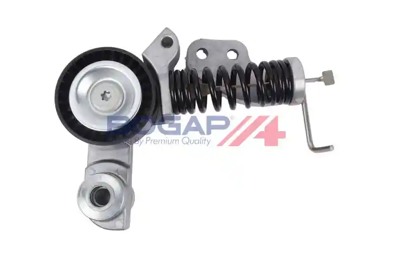 BOGAP V1317101 BOGAP V1317101