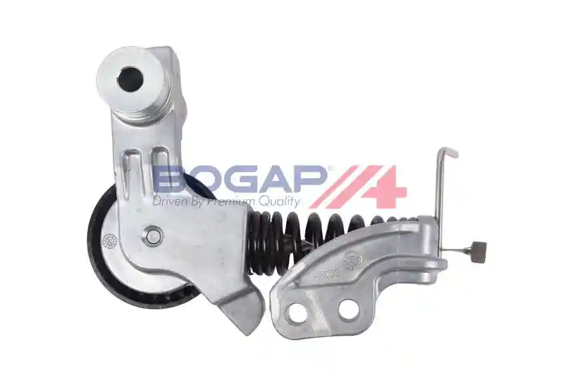 BOGAP V1317101 BOGAP V1317101