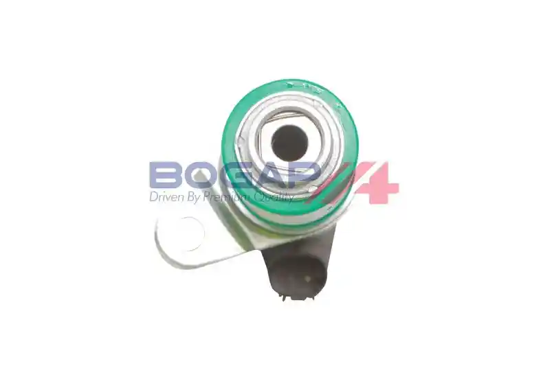 BOGAP V1340101
