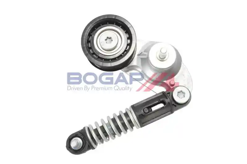 BOGAP V1371101