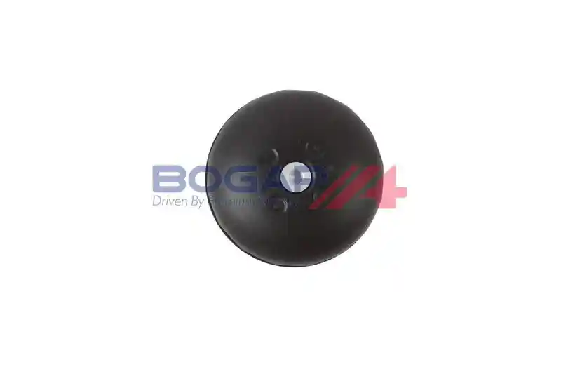 BOGAP V1422103
