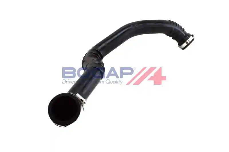 BOGAP V1711107