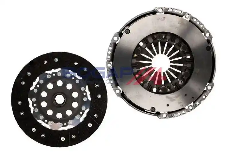 BOGAP V2223101 BOGAP V2223101