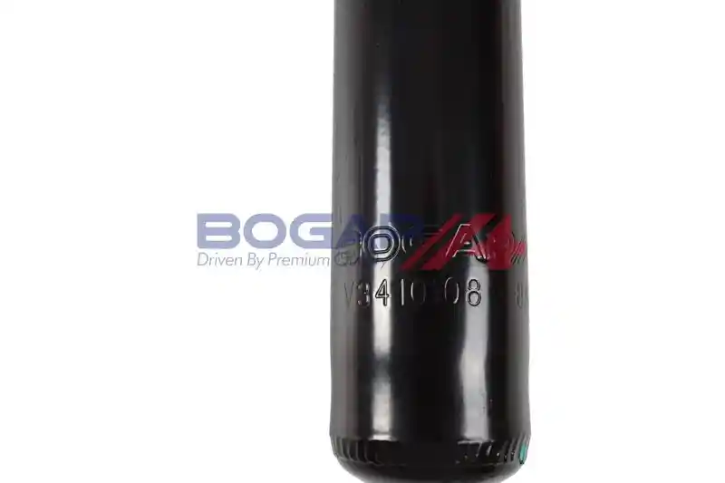 BOGAP V3410108 BOGAP V3410108