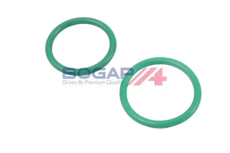 BOGAP V4110100 BOGAP V4110100