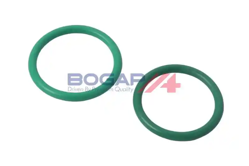BOGAP V4110104 BOGAP V4110104