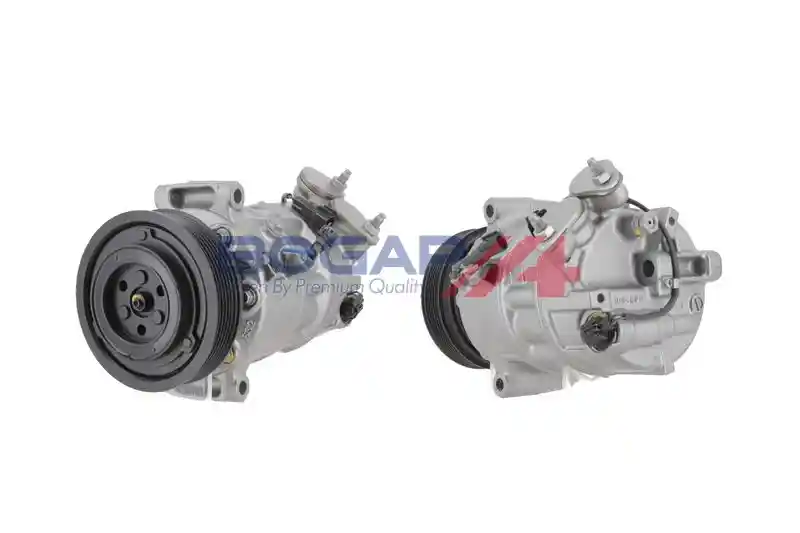 BOGAP V4110106 BOGAP V4110106