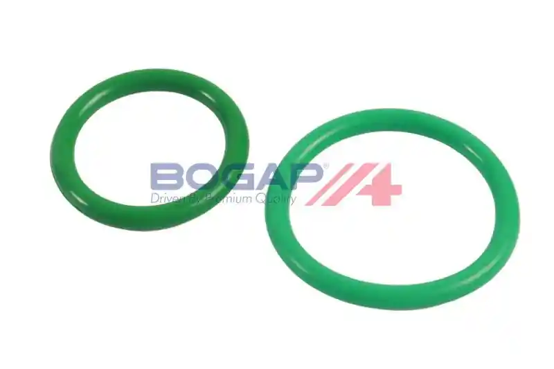 BOGAP V4117107