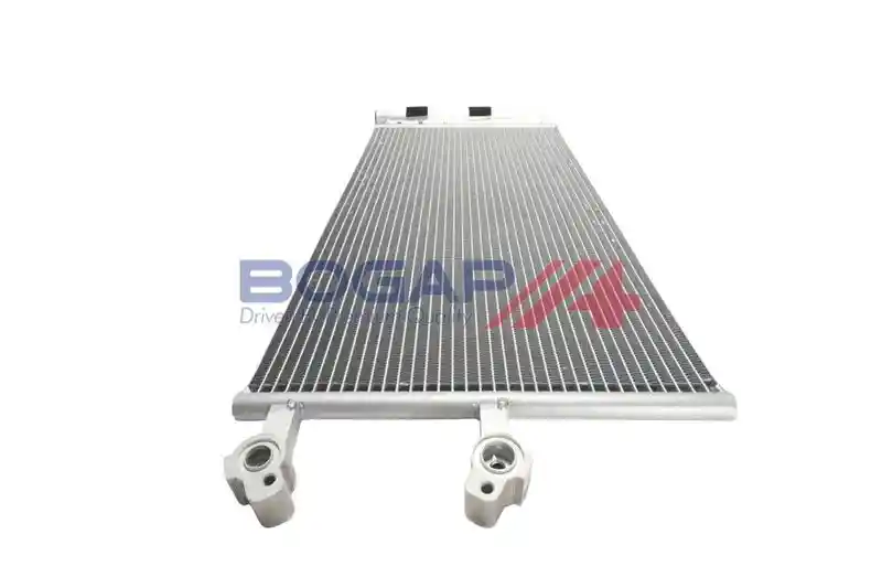 BOGAP V4117110