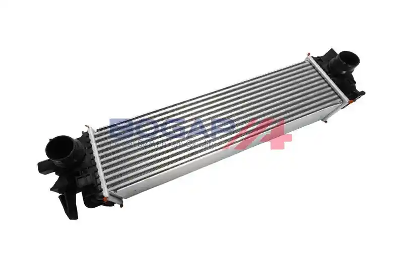 BOGAP V4220102