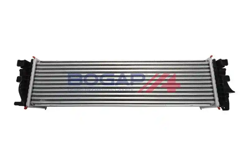 BOGAP V4220102