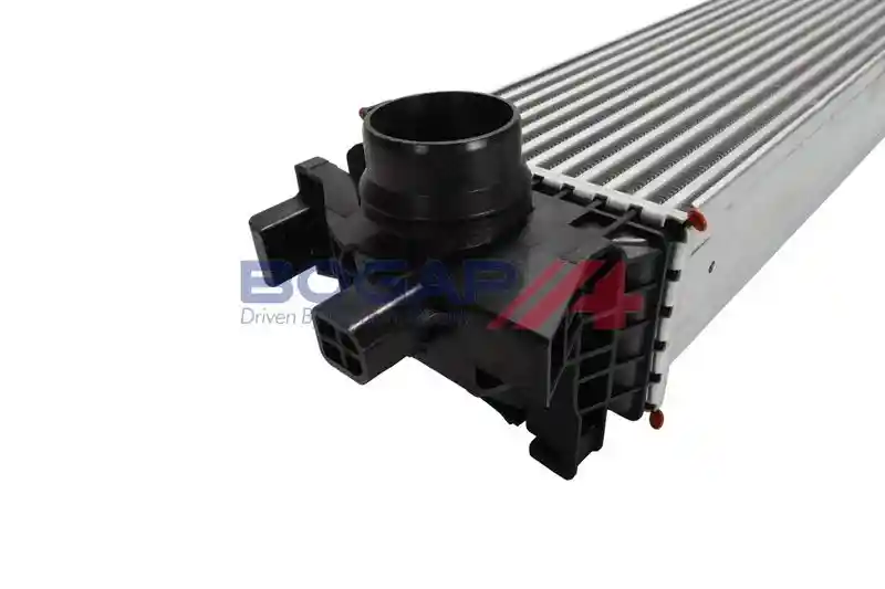 BOGAP V4220102