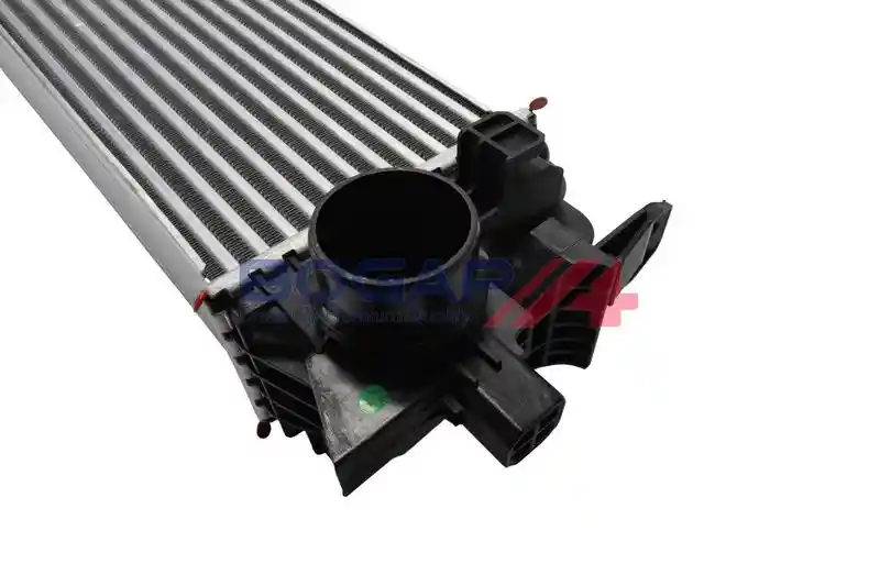 BOGAP V4220102