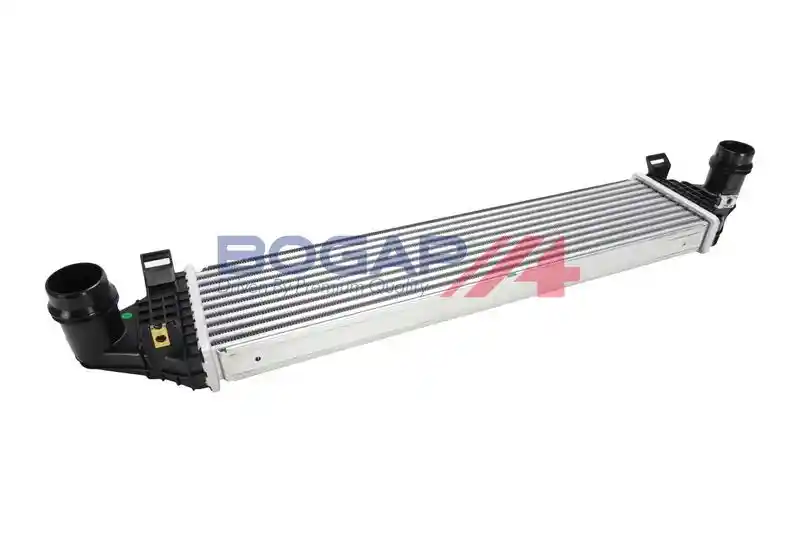 BOGAP V4220103