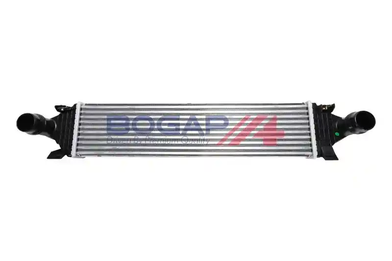 BOGAP V4220103