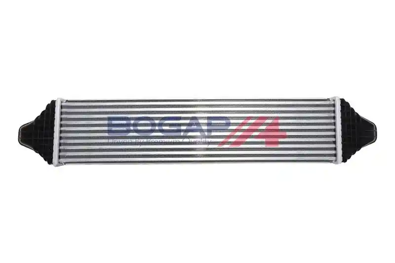 BOGAP V4220103