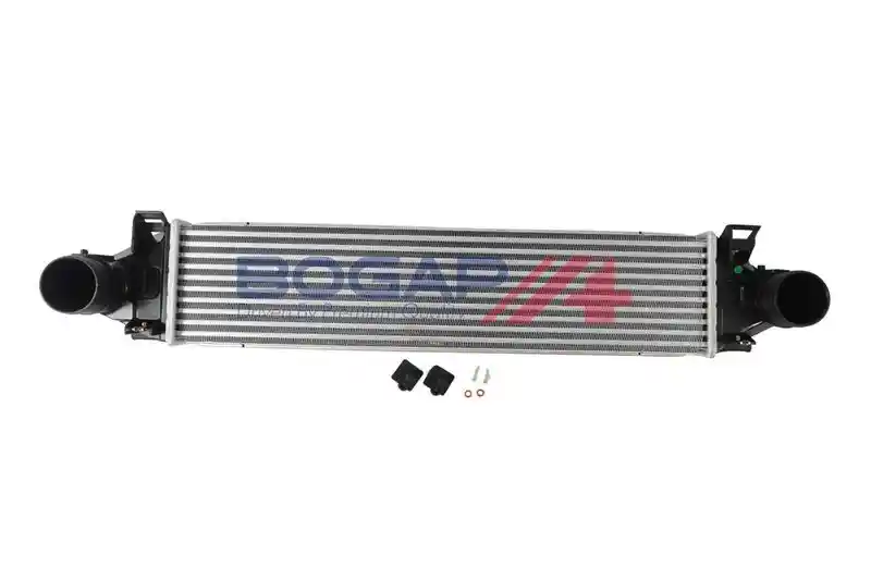 BOGAP V4220104