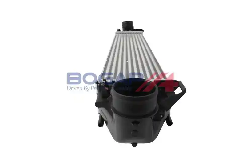 BOGAP V4220104