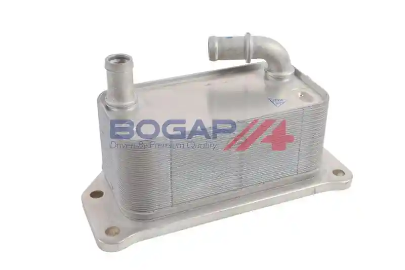 BOGAP V4222104